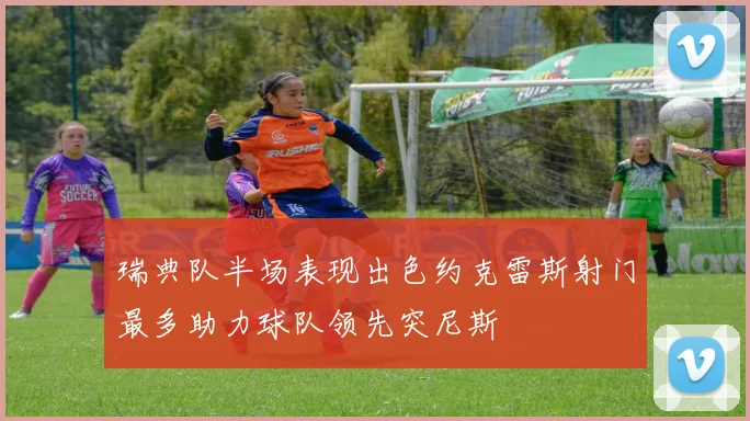 瑞典队半场表现出色约克雷斯射门最多助力球队领先突尼斯