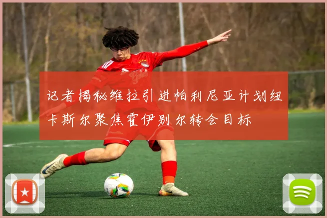 记者揭秘维拉引进帕利尼亚计划纽卡斯尔聚焦霍伊别尔转会目标