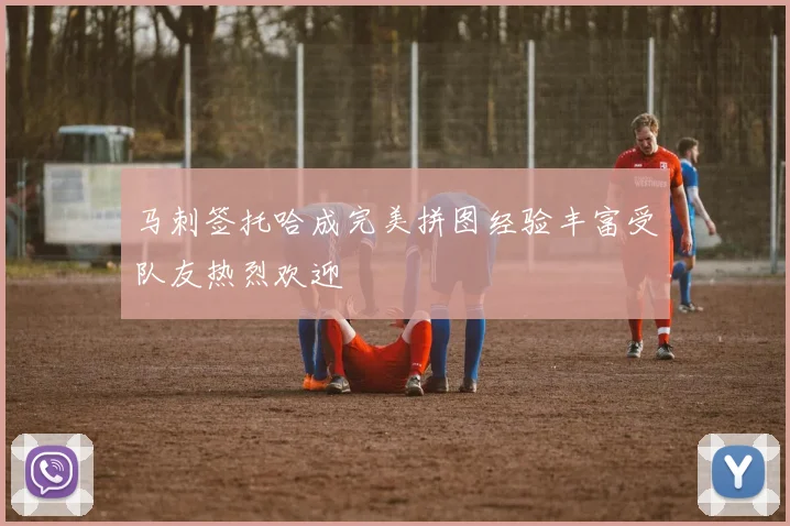 马刺签托哈成完美拼图经验丰富受队友热烈欢迎